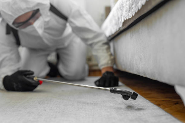 Professional Cockroach Control technician working in Greenport West, NY